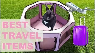 Best Travel Items For Rabbits!