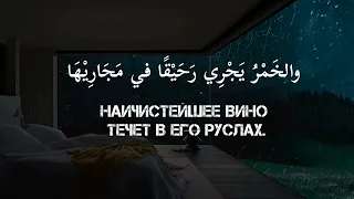 Не печалься о этом мире Хамад Аль-Джабари.