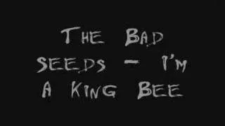 The Bad Seeds - I'm A King Bee