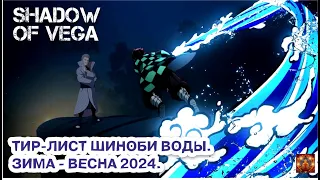 ТИР ЛИСТ ВОДЫ. ФЕВРАЛЬ 2024 | Тени Пика | Конфликт хидзюцу