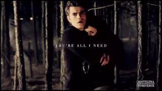 everything | stefan & elena