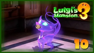 [LP - Fr] Luigi's Mansion 3 : "À la poursuite de l'Ectochat !" - Ep10 [KrossLiNks]