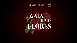 "Matices de América" Ballet folclórico del Teatro Municipal de La Florida