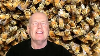 Bees Metaphor - Staying with Anxiety