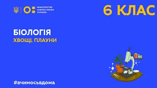 6 клас. Біологія. Хвощі, плауни. (Тиж.1:ПН)