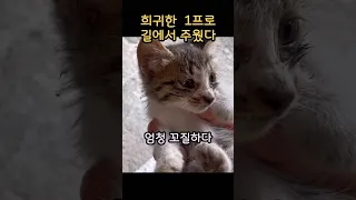 씻겨보니 1프로