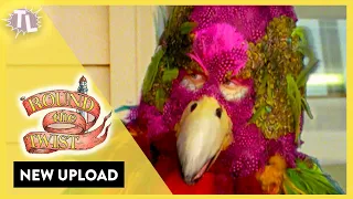 Bird Boy | Round the Twist - Season 4 Episode 9 (HD)