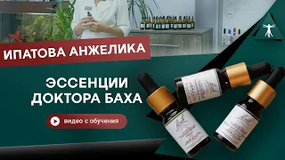 Цветы Баха в психокинезиологии. Ипатова Анжелика