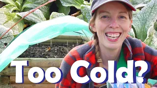 Grow MORE FOOD NOW in the Cold | How to Start Your Garden Early | Bear Bottom Acres