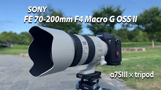 【TEST FOOTAGE】SONY 70-200mm F4 Macro G OSS II | α7SIII | STC ClipFilter ND16 | 奈良・馬見丘陵公園 |