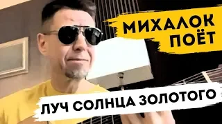 Сергей Михалок - «Луч солнца золотого» (песня из мультфильма «По следам Бременских музыкантов»)