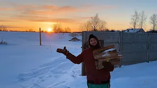 У нас пополнение в хозяйстве! Ремонт в доме продолжается! Наша ферма! Жизнь простых людей в деревне!