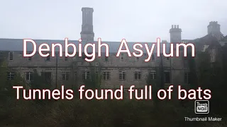 Denbigh Asylum (tunnels found full of bats)