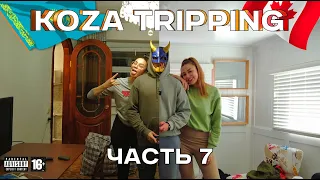 🍁 Koza Tripping | Коза Триппинг [ Часть 7 ] - Олени У Нас Под Окном 🦌 Наконец-То Сняли Квартиру