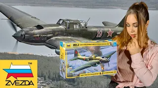IL 2 Attack aircraft. A large model airplane from the Zvezda.