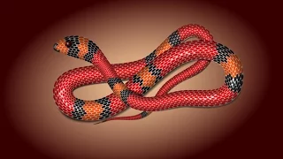 Adobe Illustrator Tutorials - Create a Vector Snake Using Mesh Tormentor