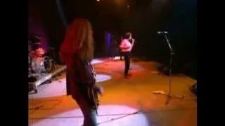 PAUL RODGERS & FRIENDS ~ "THE HUNTER" ~ WITH NEAL SCHON  1994