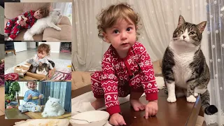 The amazing love between a baby and cats. Can cats fall in love with a baby?