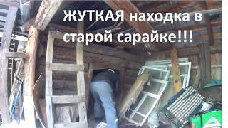 Неожиданные находки в старой, жуткой сарайке.