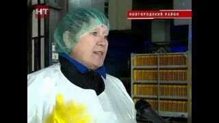 Птицефабрика Новгородская в деревне Божонка возобновила работу
