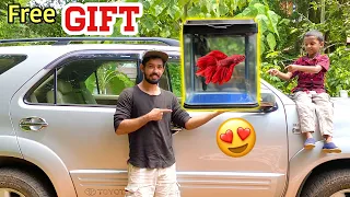 🔥ഹരികുട്ടന് ഒരു "FREE GIFT” കൊടുത്തപ്പോൾ!! | Buying an aquarium for a little boy 😍