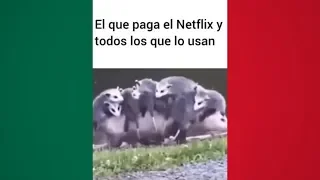 MEMES MEXICANOS 14