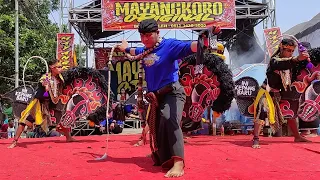 Jaranan MAYANGKORO ORIGINAL Seni Kuda Lumping❗Live Kedungrejo Megaluh Jombang