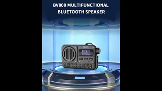 BV800 Super-Portable Bluetooth Speaker with FM Radio,Display, Antenna, USB Disk, TF Card, MP3 Player