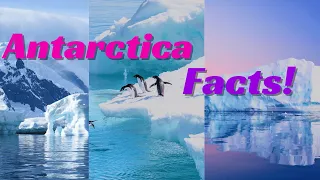 10 Astonishing Facts about Antarctica