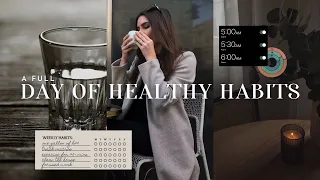 HEALTHY HABITS DIARY  | 24 hours of wellness, how I get back into a routine, + mini chicago vlog!