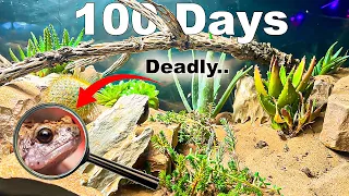 150 Gallon Desert Simulation ( With Natural Disasters )