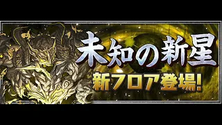 【パズドラ】未知の新星　混沌の億兆龍　ボスBGM【作業用】