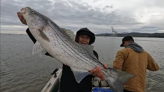 Striper Fishing 1/26/24