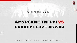 10.10.2022. «Амурские Тигры» – «Сахалинские Акулы» | (OLIMPBET МХЛ 22/23) – Прямая трансляция