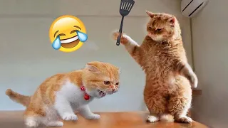 Funniest Animals 2023 😅Best Cats and Dogs Videos 🐶😹 Part 20