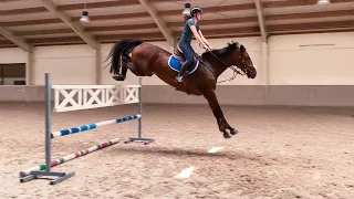 JUMPING GRAND PRIX HORSES IN FRANCE