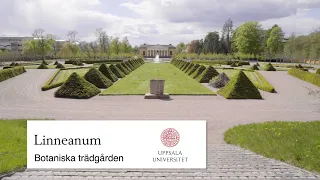 Linneanum - Botaniska trädgården i Uppsala