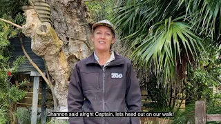 Storytime at Auckland Zoo - Captain's Adventure!