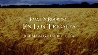 "En Los Trigales" (J. Rodrigo). José María Gallardo del Rey. Concierto
