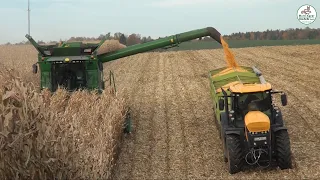 Mais dreschen mit John Deere, JCB, Valtra - Corn Harvest - Multi Agrar Claußnitz