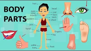 Body Parts Vocabulary