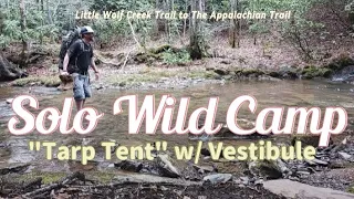 Solo Wild Camp , Tarpology "Tarp Tent" with Poncho Vestibule 6.5 mile hike ,Appalachian Trail