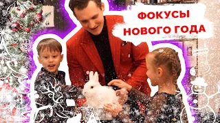 Фокусы Нового года. Фокусник на вашем празднике.