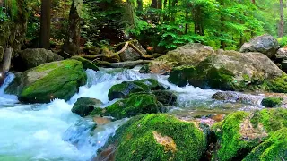 Relaxing Piano Music With Stream💗 Beautiful Piano Music by Soothing Relaxation💗 Episode 64