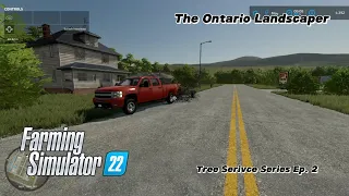 Clean up a broken tree and a Small Mowing job | Tree Service Series Ep 2 | Farming Simulator 22 | PC