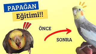 TAKİPÇİMİN KUŞUNU EĞİTTİM!! (KUZU GİBİ OLDU!)