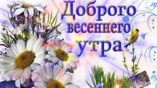 Доброе весеннее утро! Прекрасное пожелание доброго утра и хорошего дня!