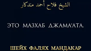 шейх Фалях Мандакар/ ВОТ ОНА САЛЯФИЯ.