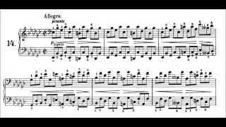 Chopin: Prelude Op.28 No.14 in E flat Minor, Allegro (Pogorelich)