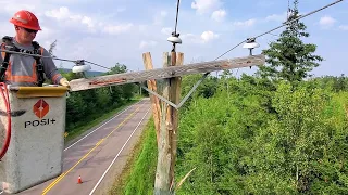 What happens when lightning hits a power pole ??